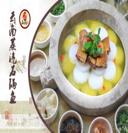 云南蒸汽石锅鱼餐饮管理公司 网站